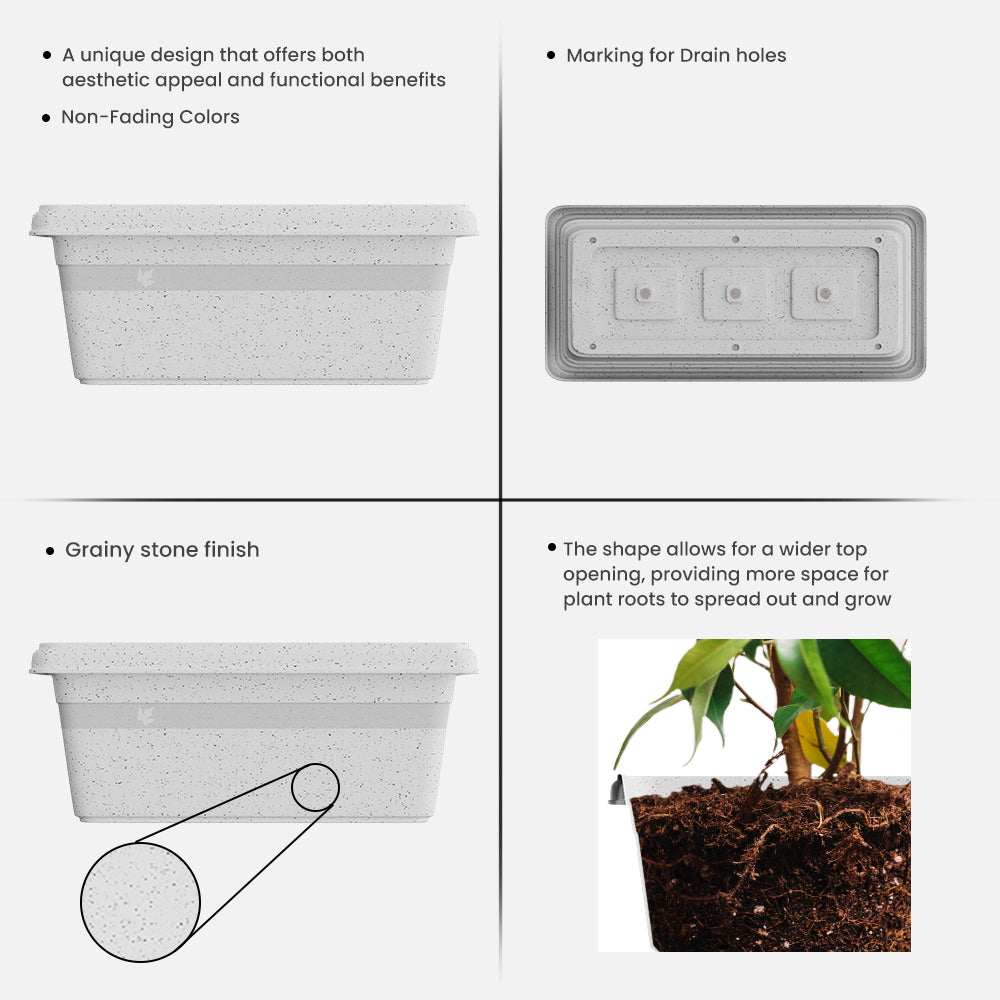 SHERA | TP PLANTER
