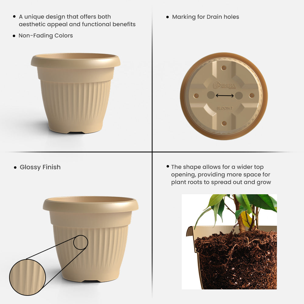 SHERA | BLOOM PLANTER