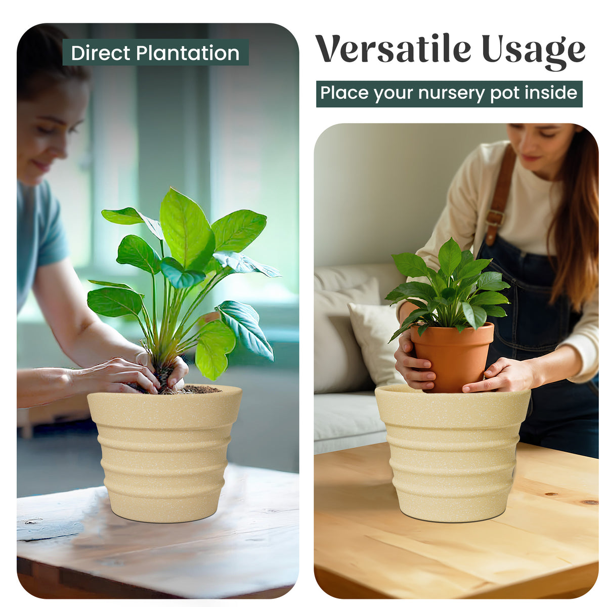 FOX B | BR PLANTER