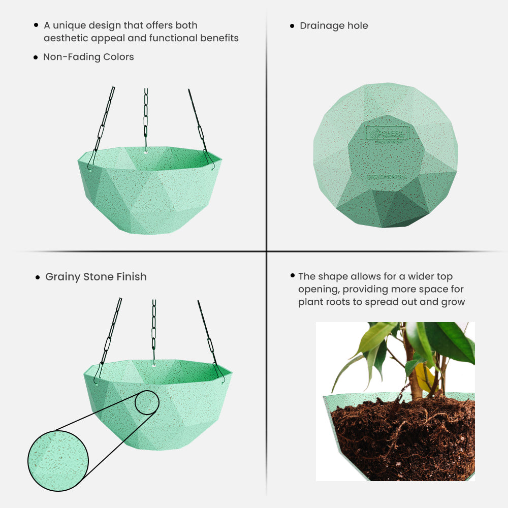 SHERA | DMD KTR BIO HANGING