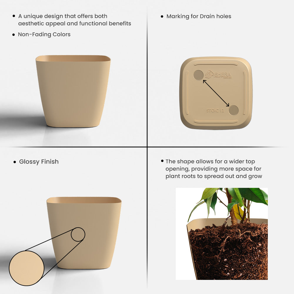 SHERA | STOIC PLANTER
