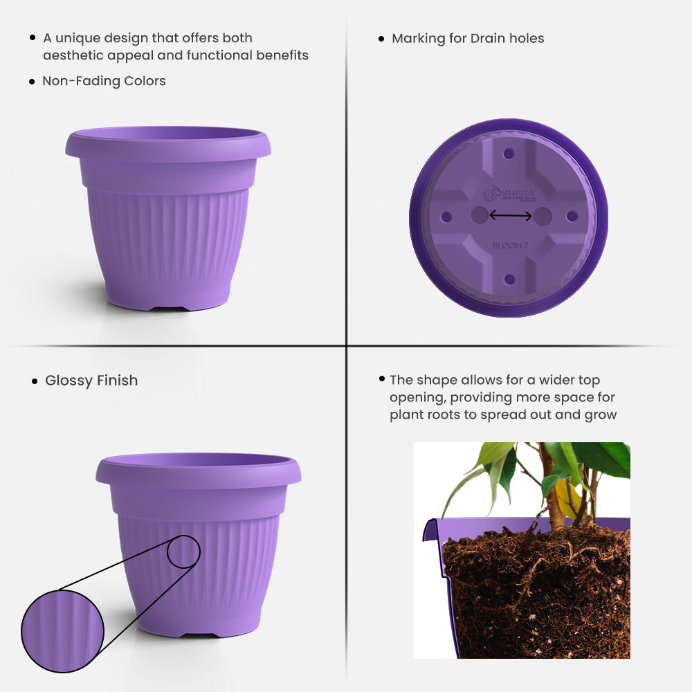 SHERA | BLOOM PLANTER