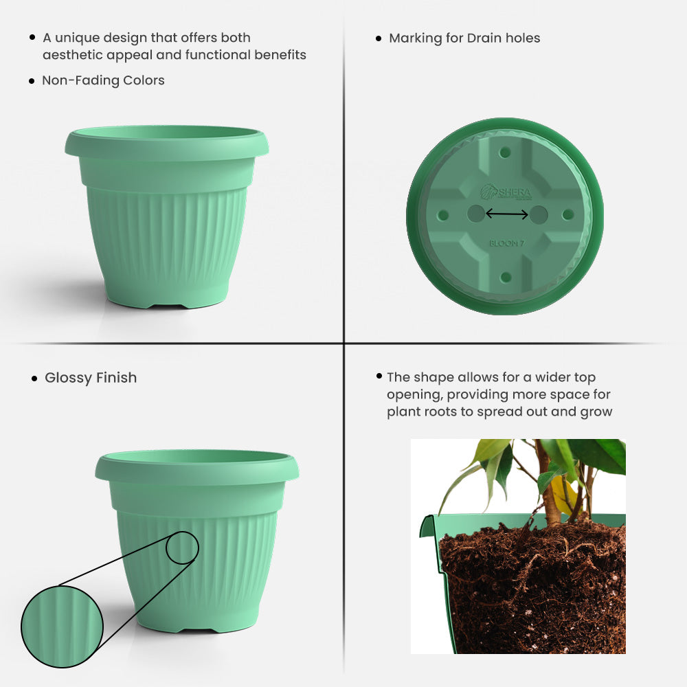 SHERA | BLOOM PLANTER