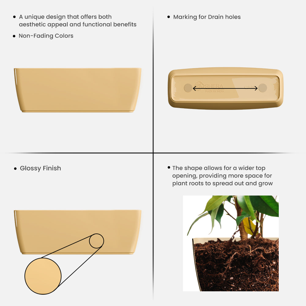 SHERA | CABI TRAY PLANTER