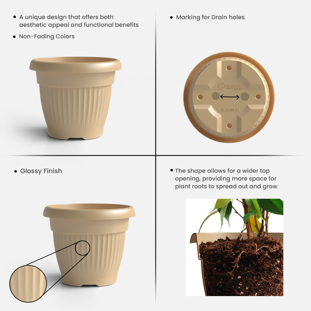 SHERA | BLOOM PLANTER