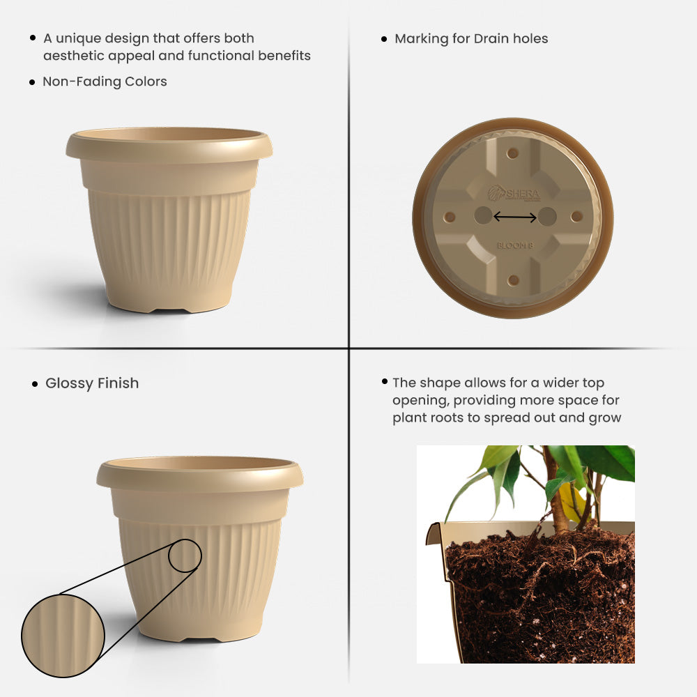 SHERA | BLOOM PLANTER