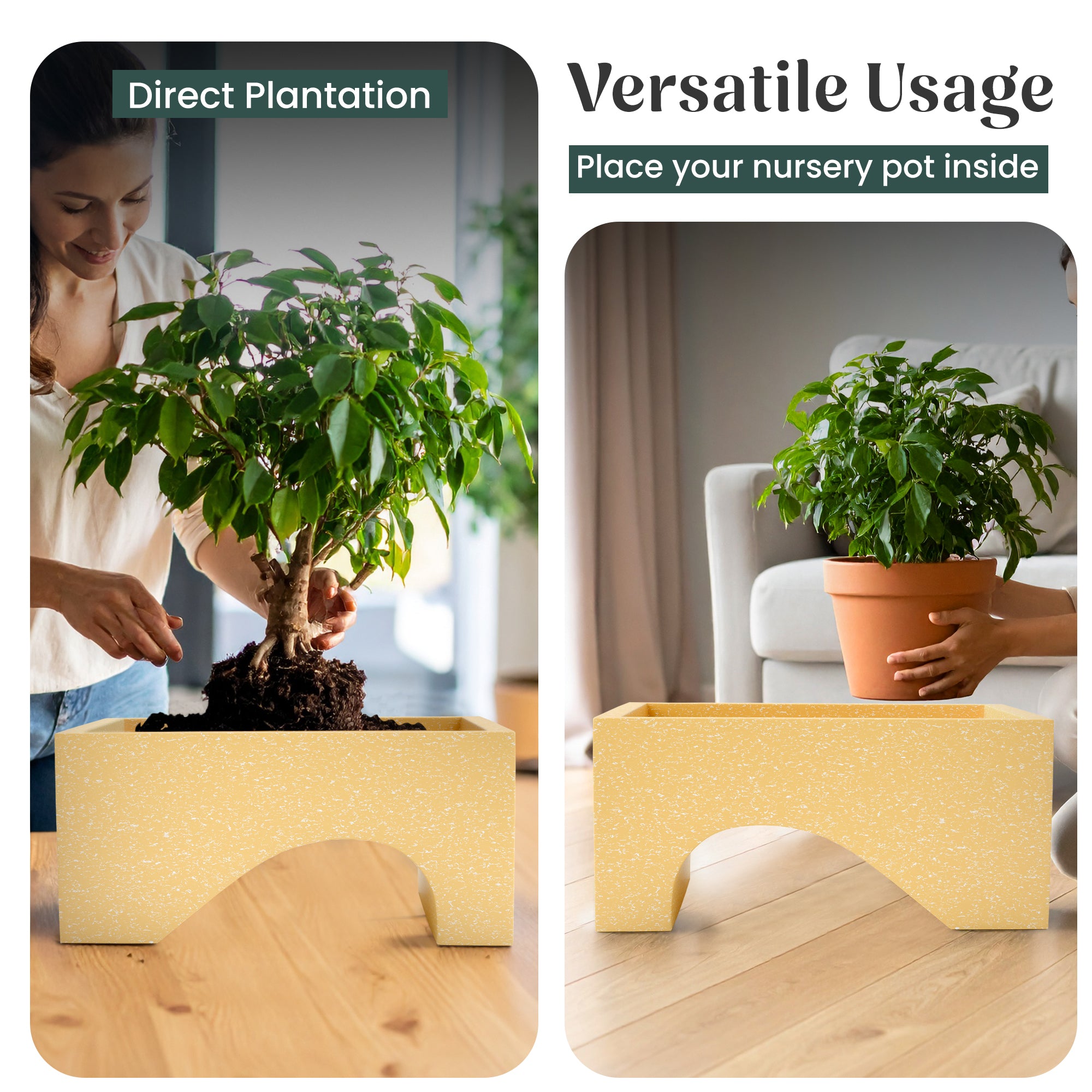 FOX B | UCTR PLANTER