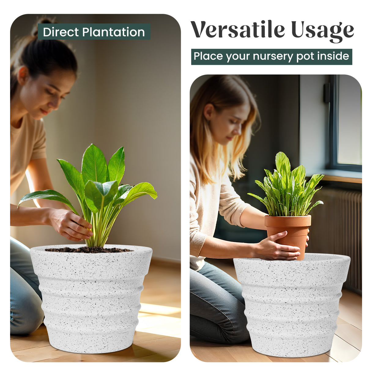 FOX B | BR PLANTER