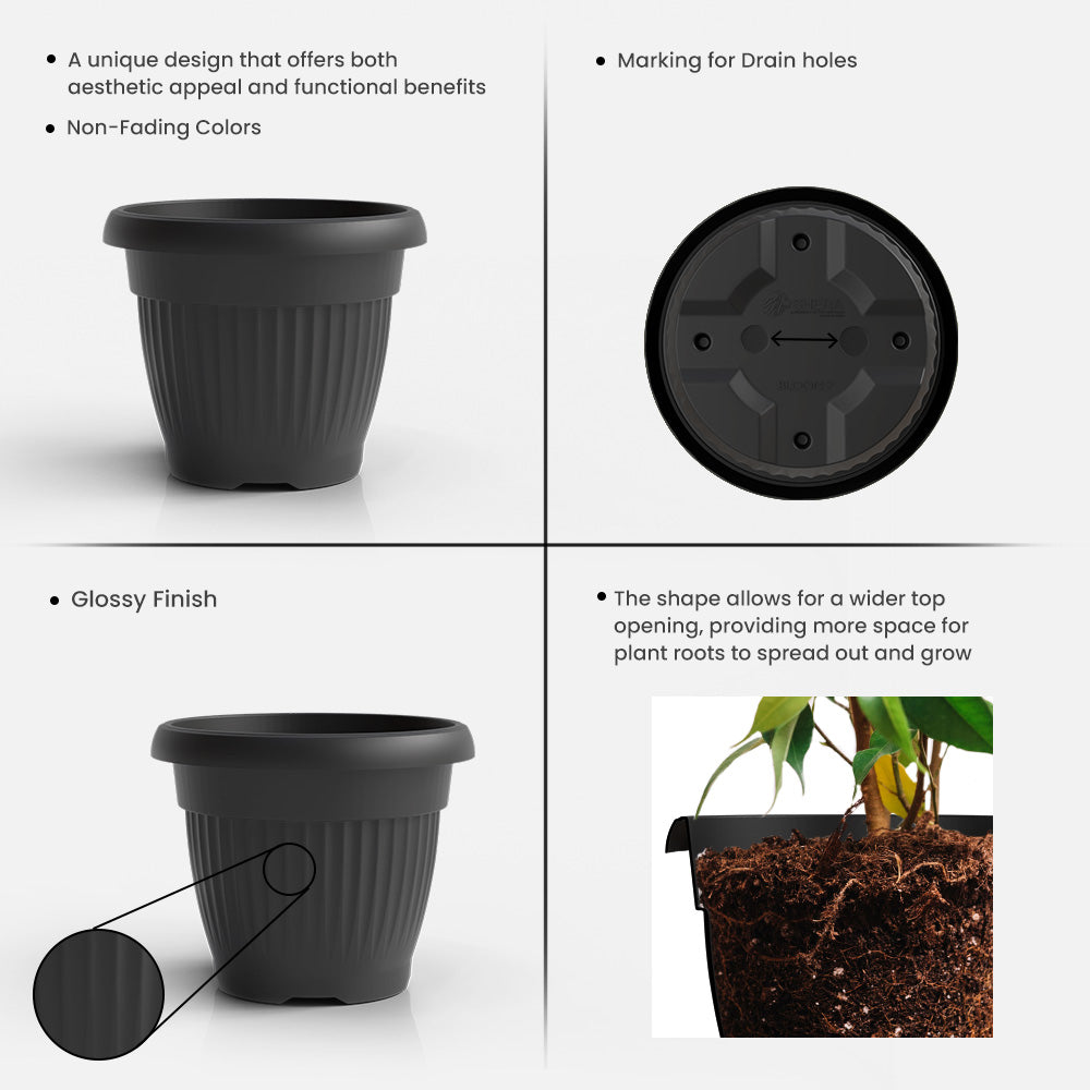 SHERA | BLOOM PLANTER