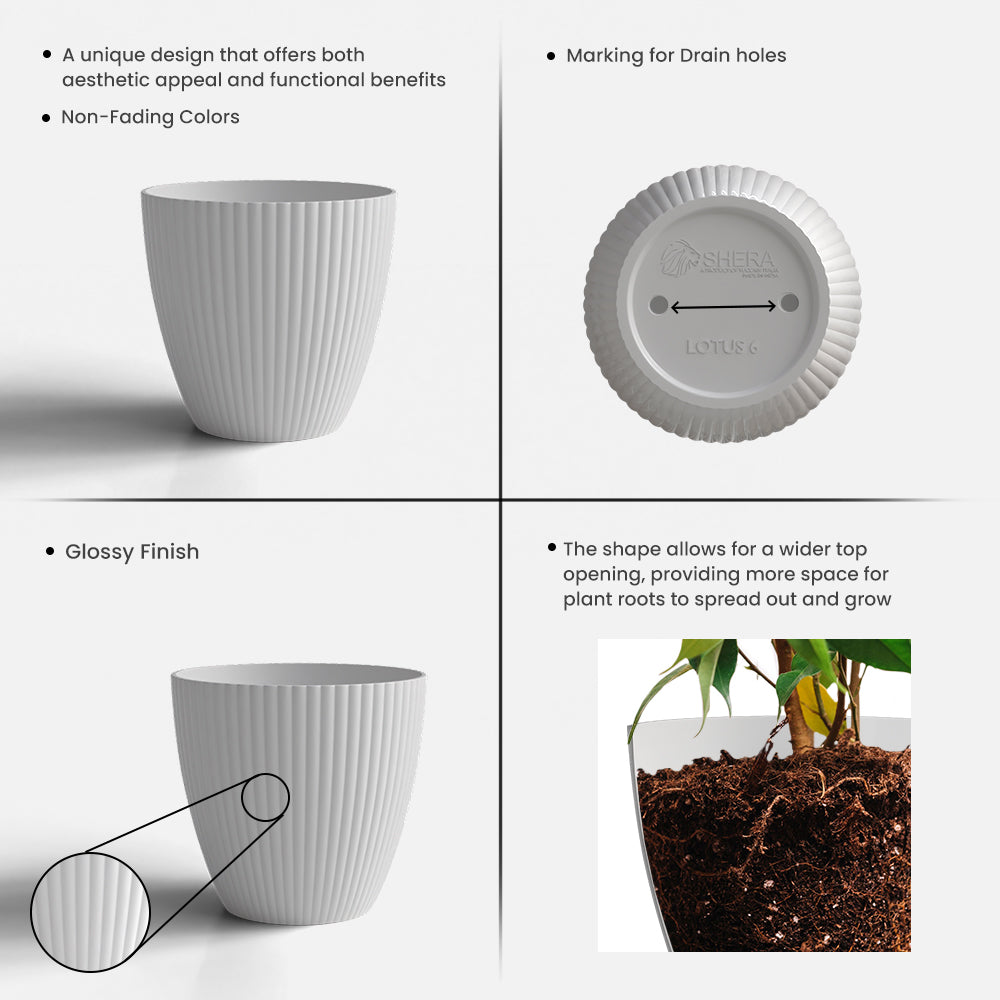 SHERA | LOTUS PLANTER
