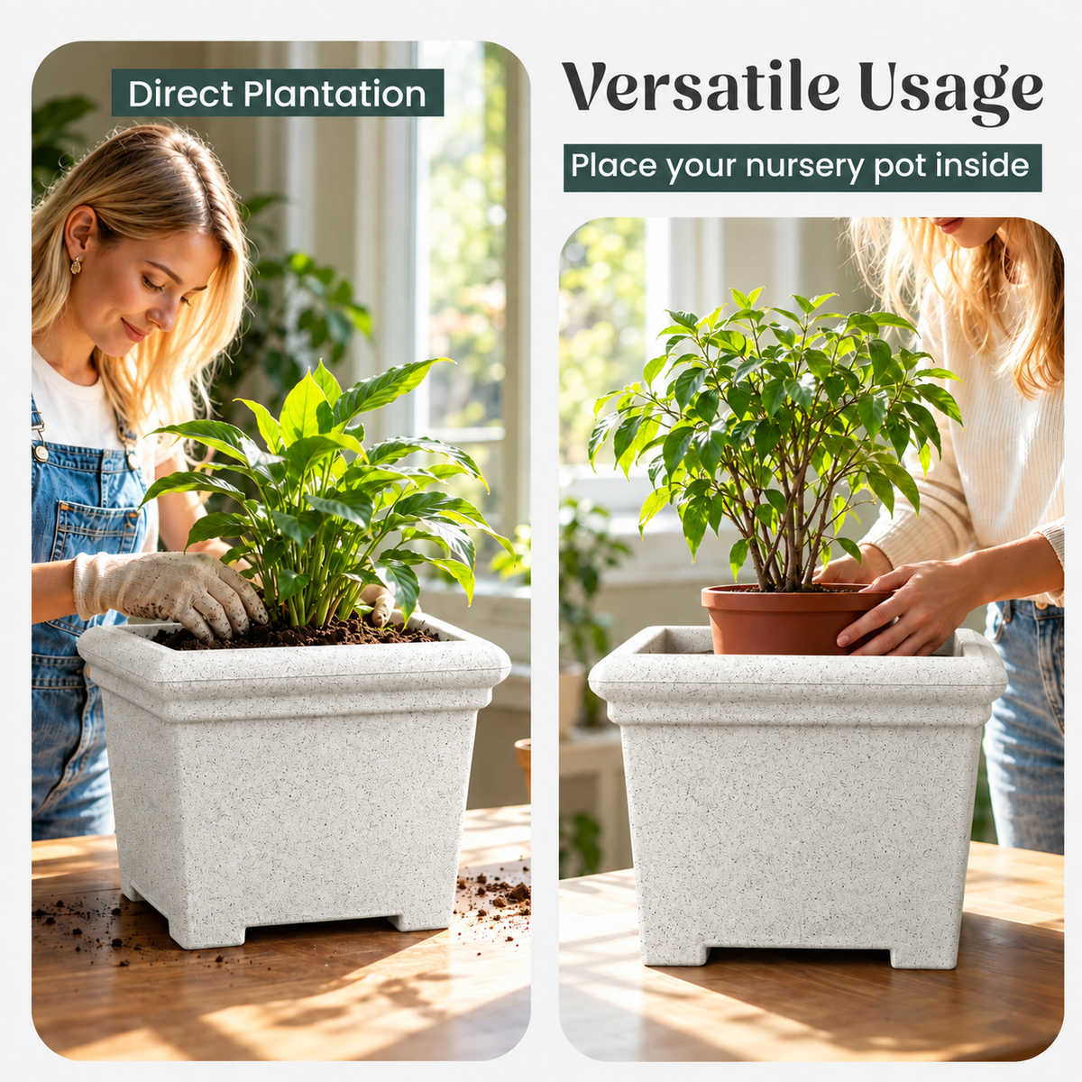 FOX B | BS PLANTER