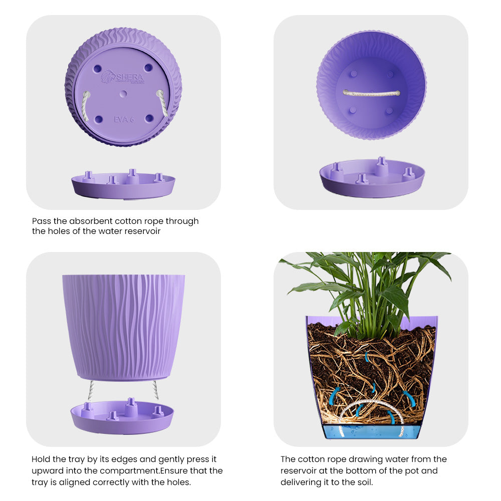 SHERA | EVA PLANTER