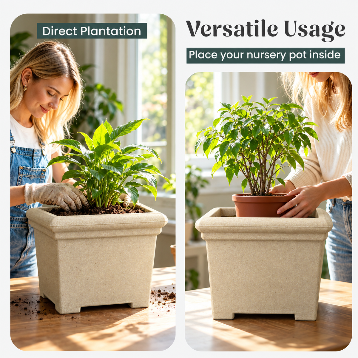 FOX B | BS PLANTER
