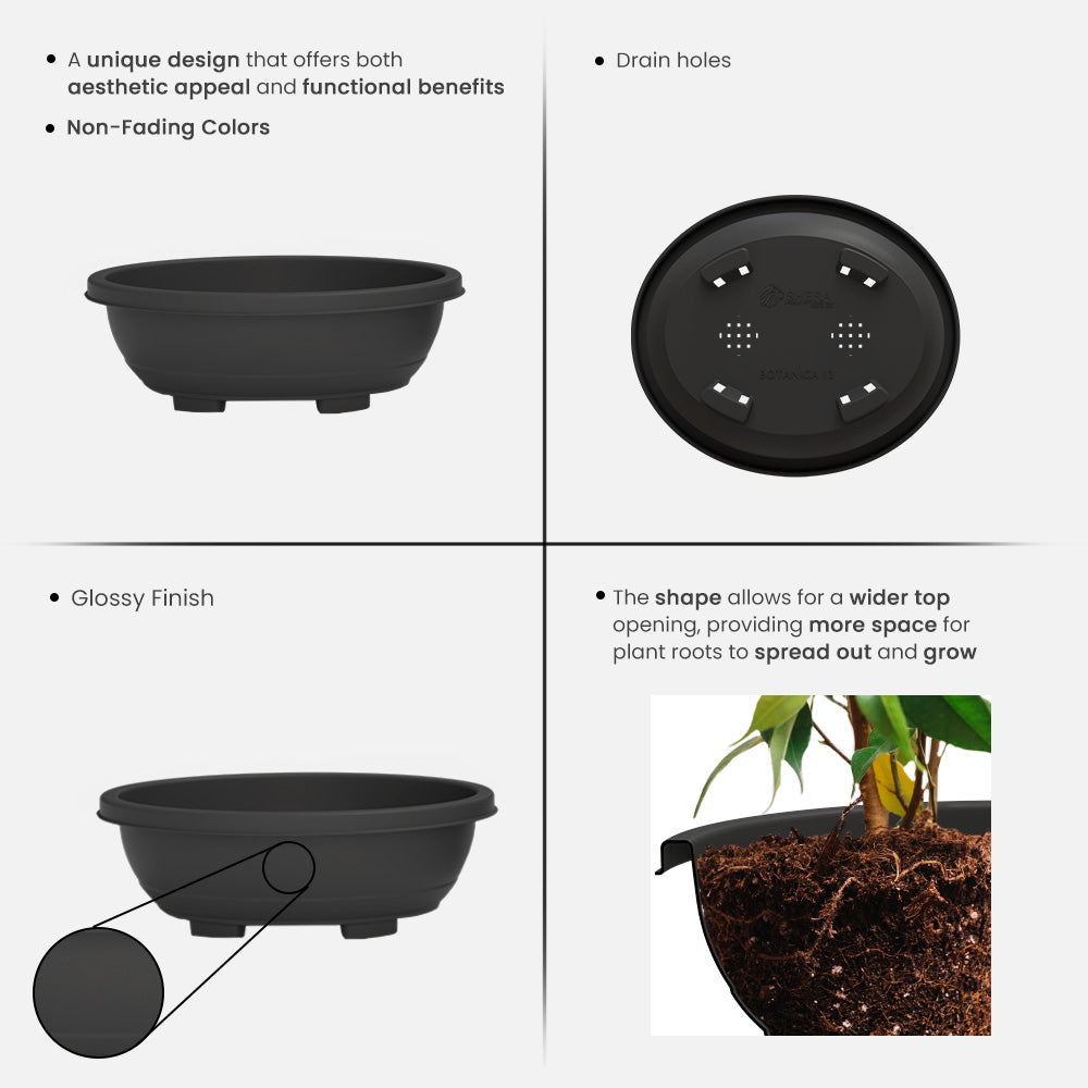 SHERA | BOTANICA TRAY PLANTER