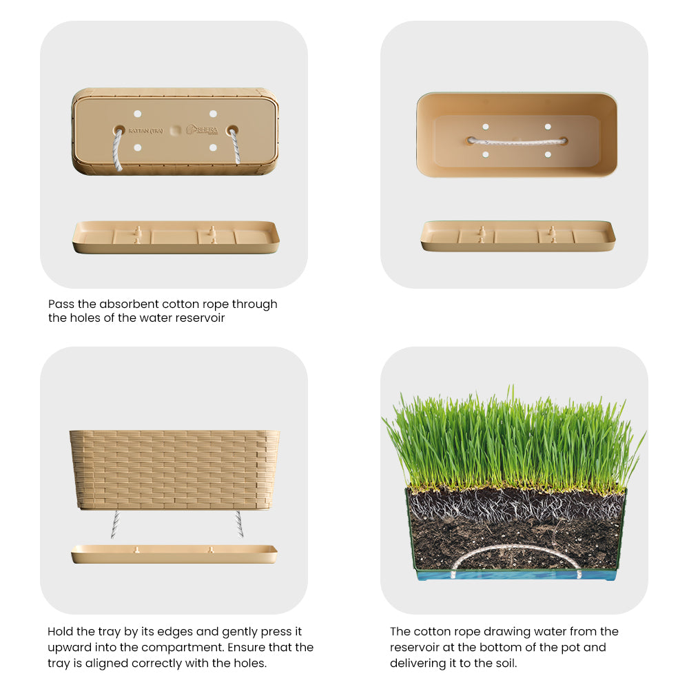 SHERA | RATTAN TRAY