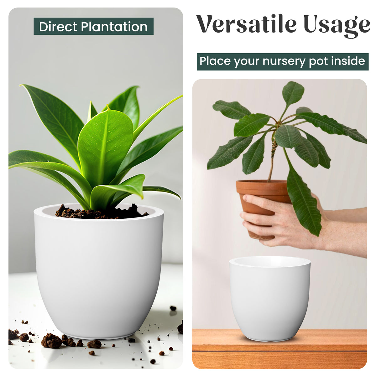 FOX B | P CUP PLANTER 6 INCH TO 15 INCH