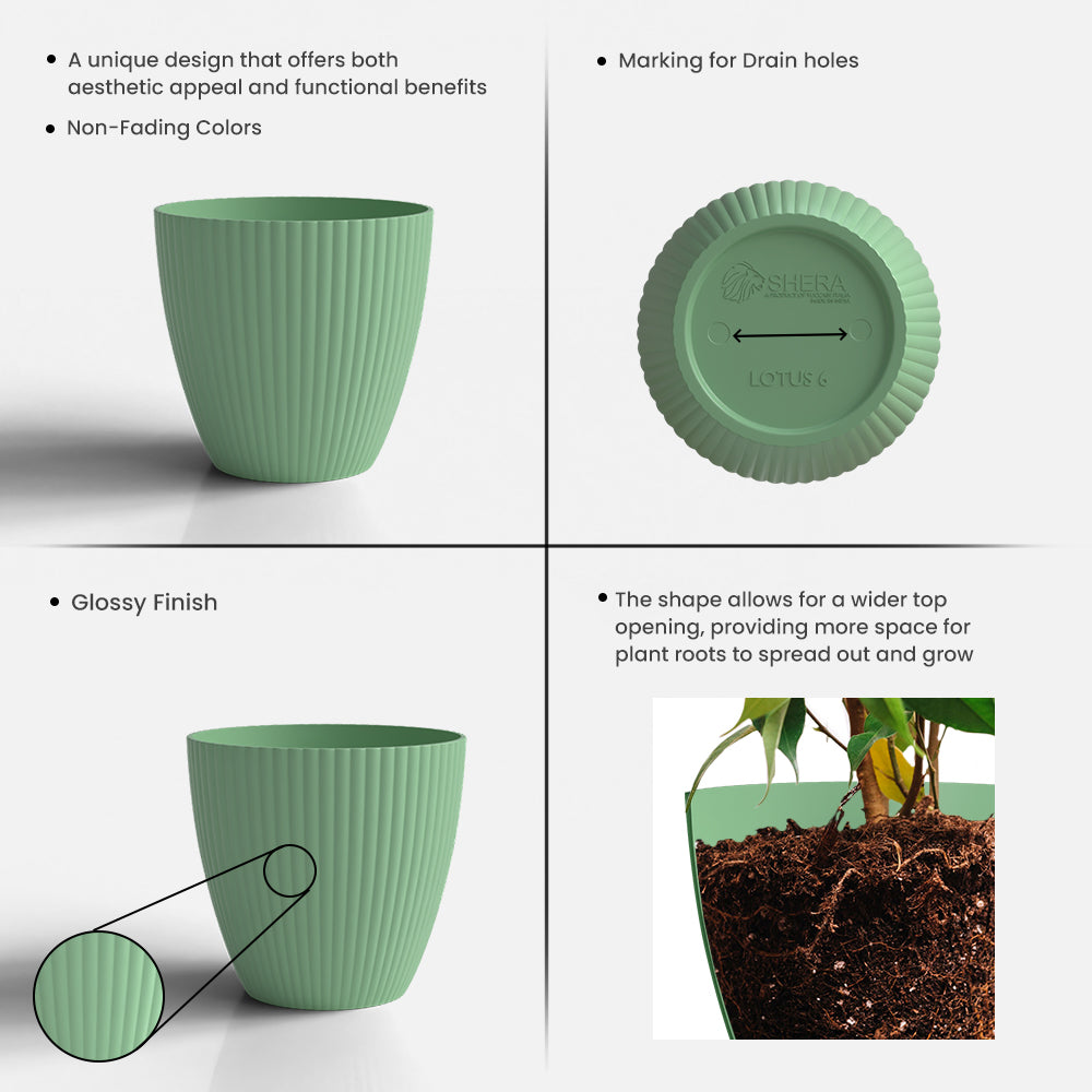 SHERA | LOTUS PLANTER
