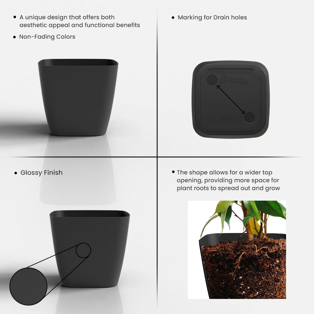 SHERA | STOIC PLANTER
