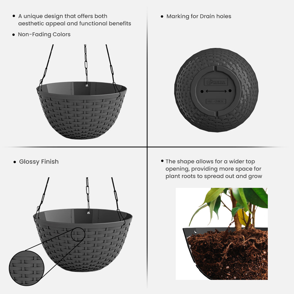 SHERA | CHICK HANGING