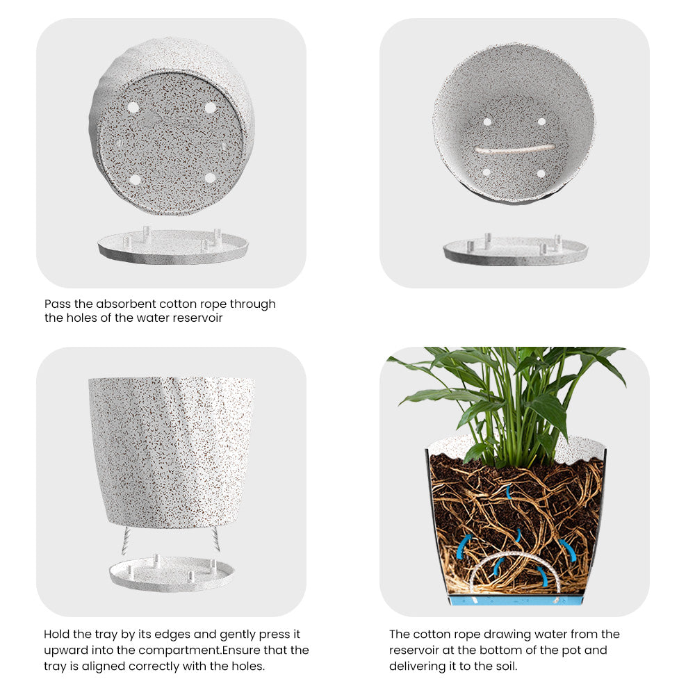 SHERA | ZINNIA PLANTER
