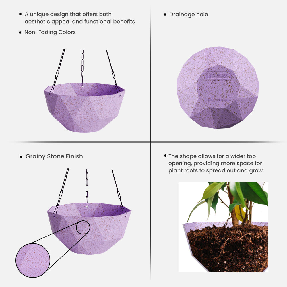 SHERA | DMD KTR BIO HANGING