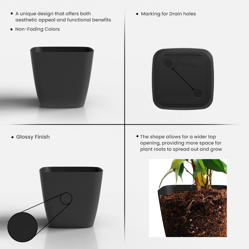 SHERA | STOIC PLANTER