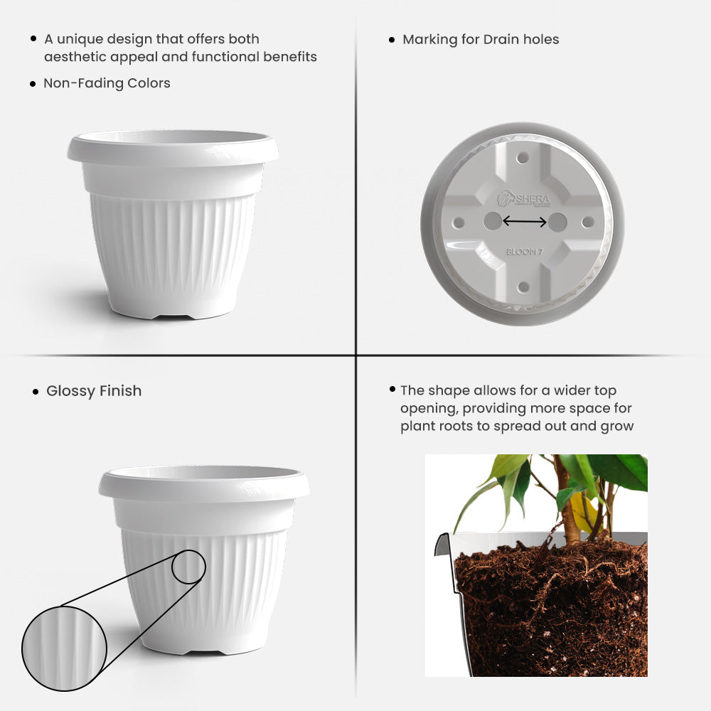 SHERA | BLOOM PLANTER