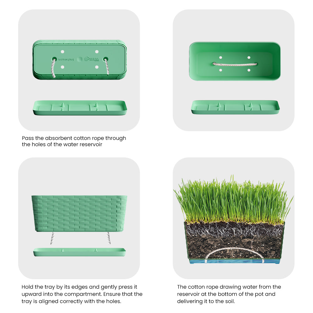 SHERA | RATTAN TRAY