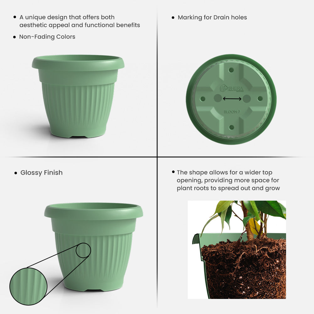 SHERA | BLOOM PLANTER