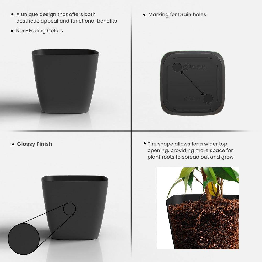 SHERA | STOIC PLANTER