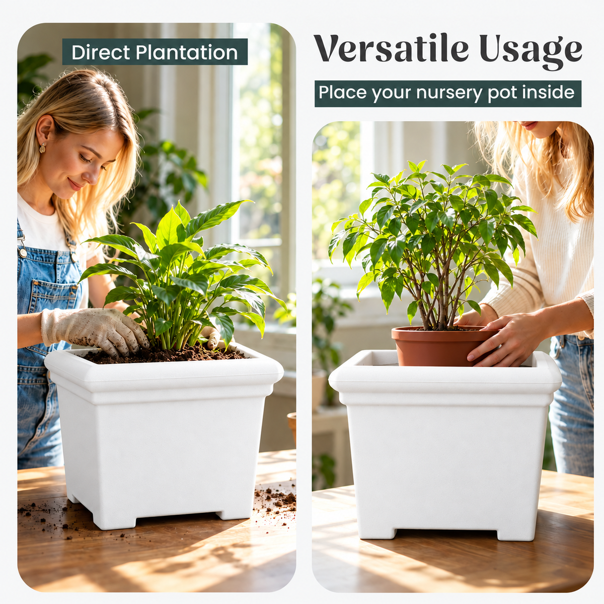 FOX B | BS PLANTER