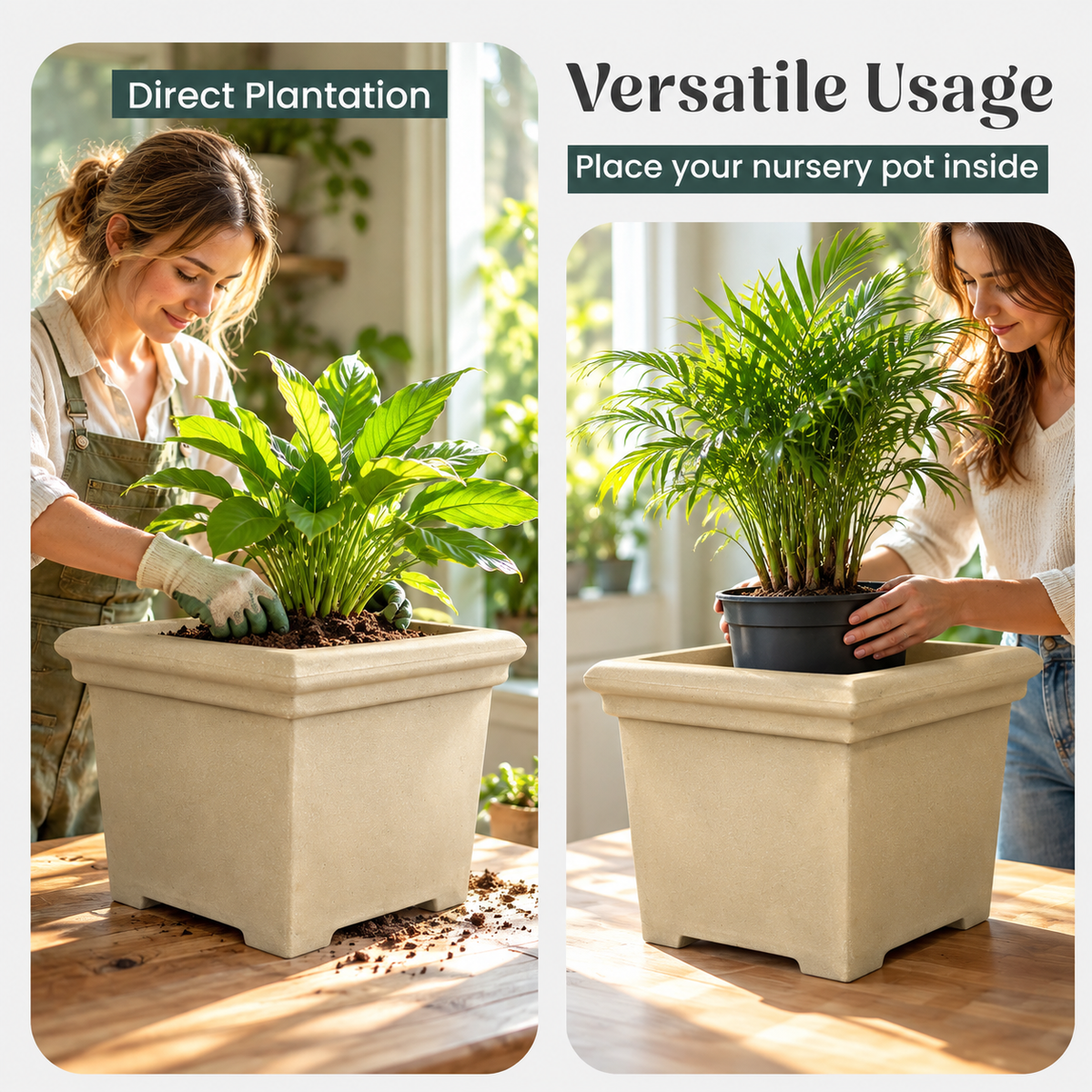 FOX B | BS PLANTER