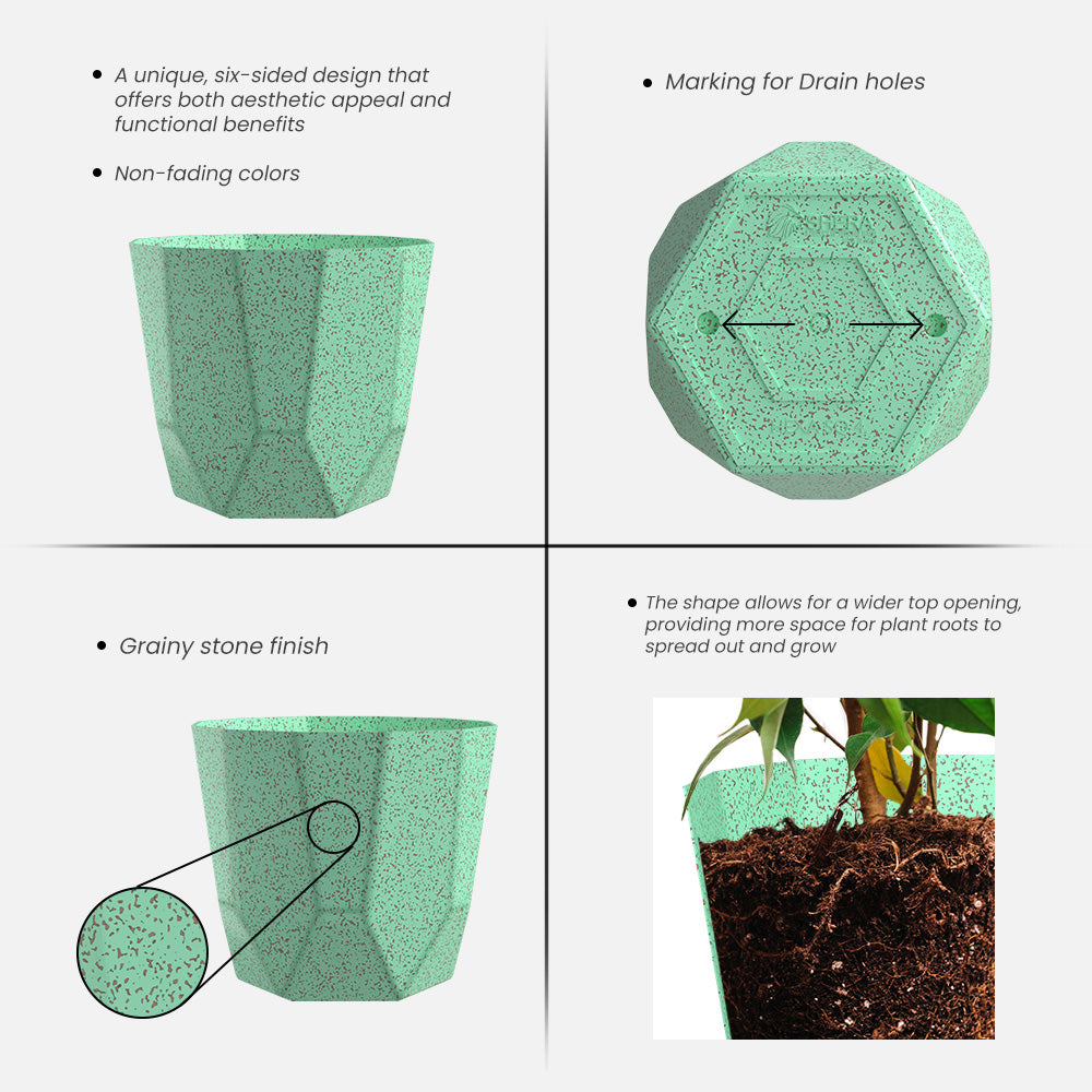 SHERA | HEXA BIO PLANTER