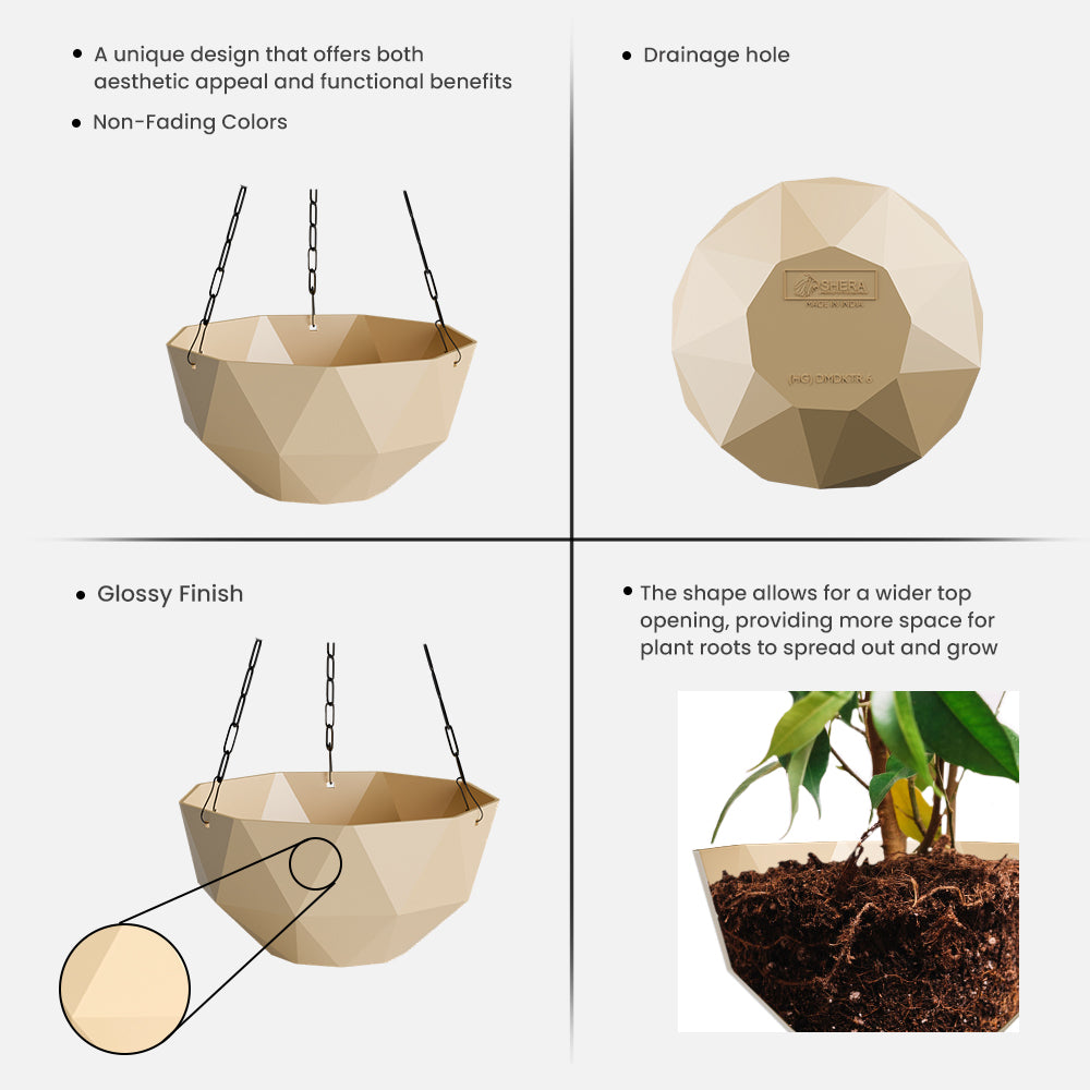 SHERA | DMD KTR HANGING