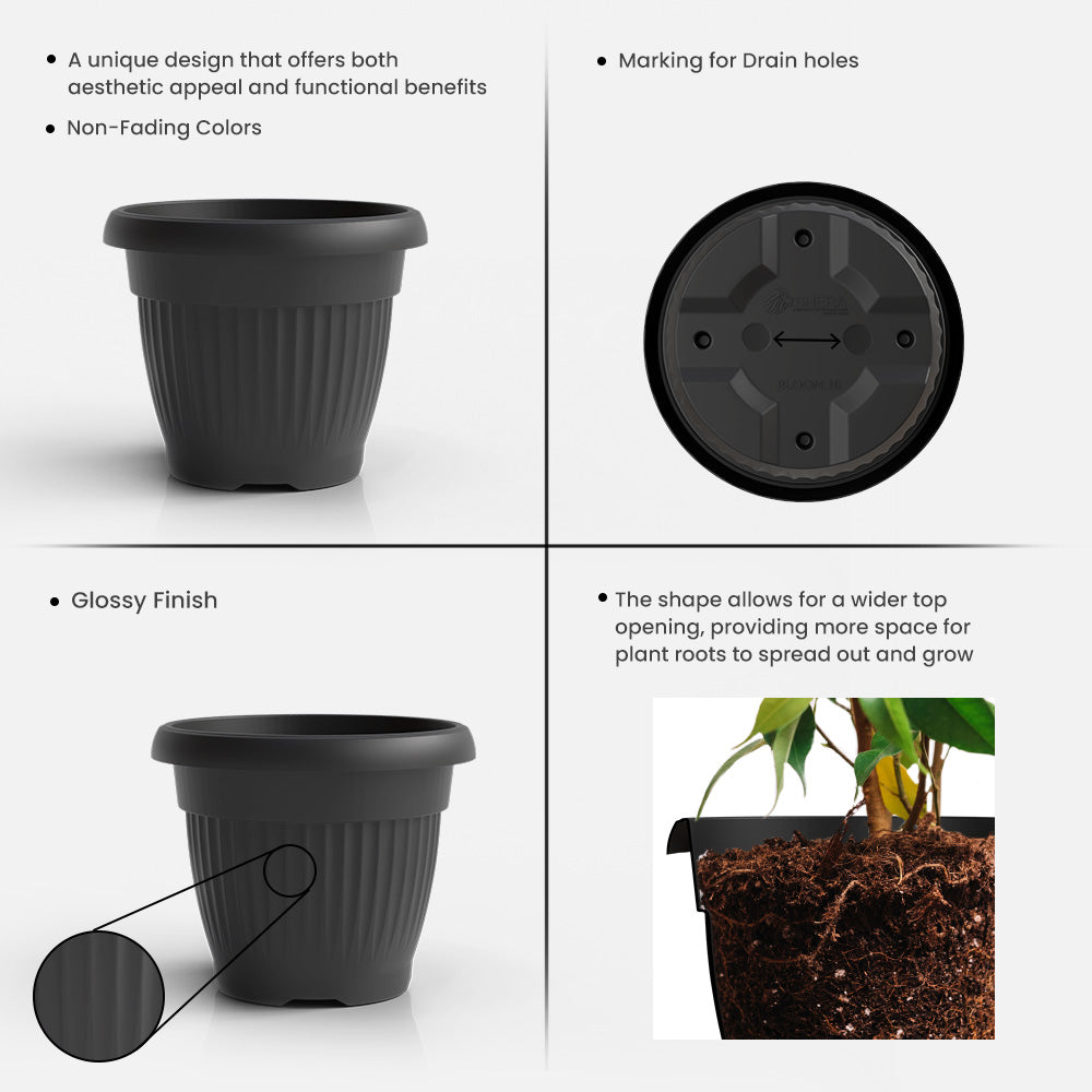 SHERA | BLOOM PLANTER