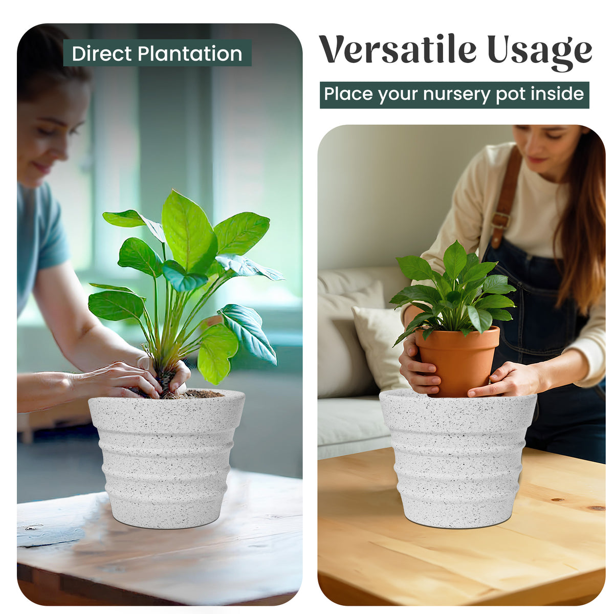 FOX B | BR PLANTER