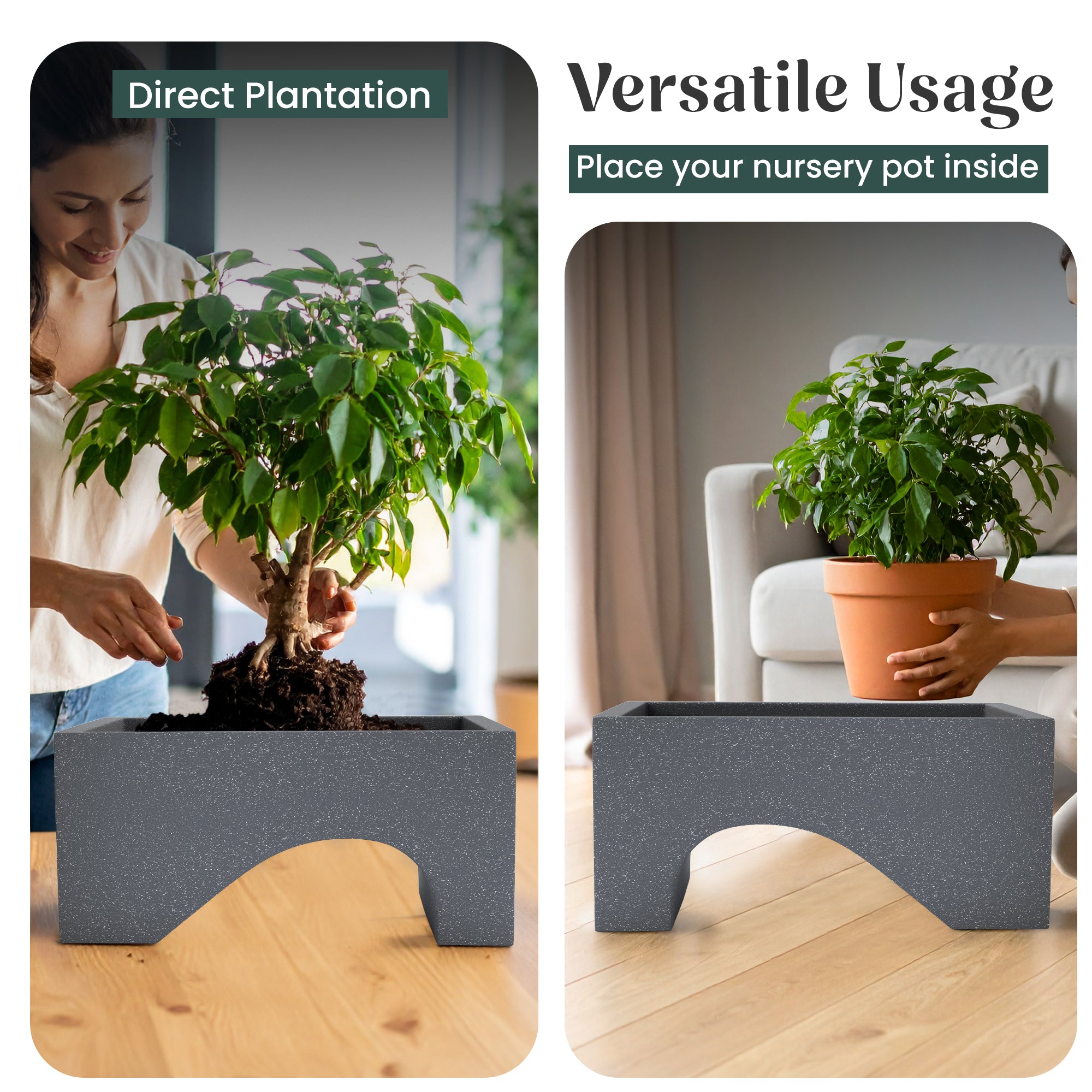 FOX B | UCTR PLANTER