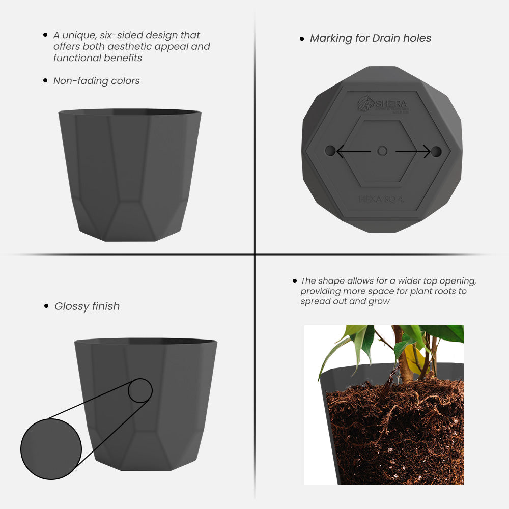 SHERA | HEXA PLANTER