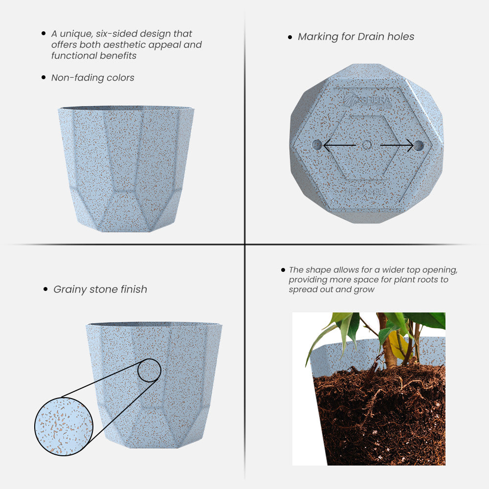 SHERA | HEXA BIO PLANTER