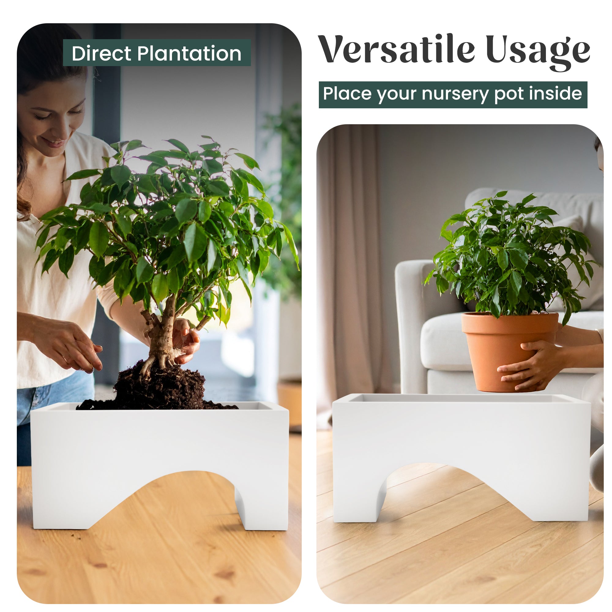 FOX B | UCTR PLANTER