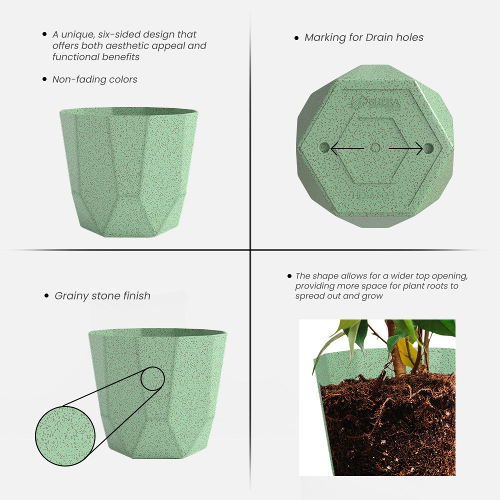 SHERA | HEXA BIO PLANTER