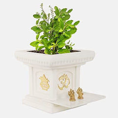 YUCCABE | TULSI Planter