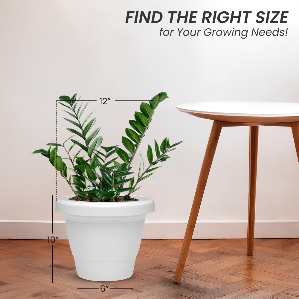 SHERA | SD PLANTER