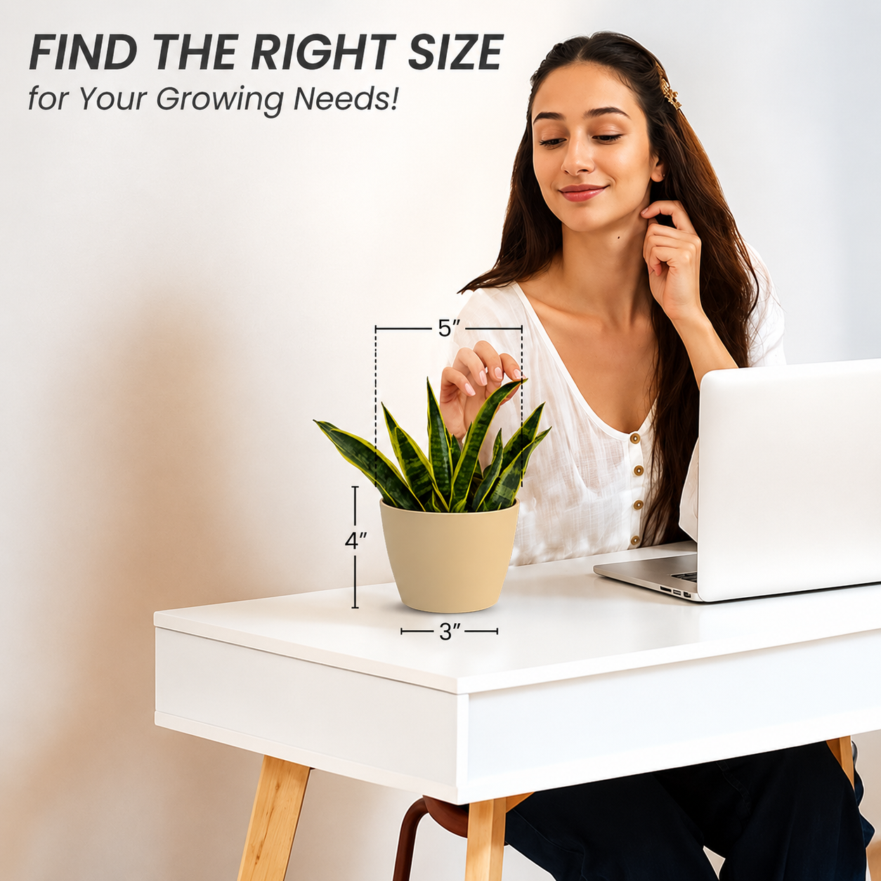 SHERA | STELLA PLANTER