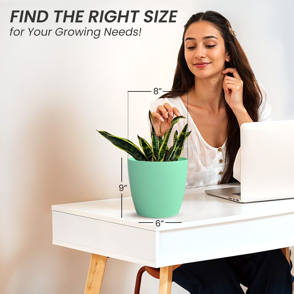 SHERA | STELLA PLANTER