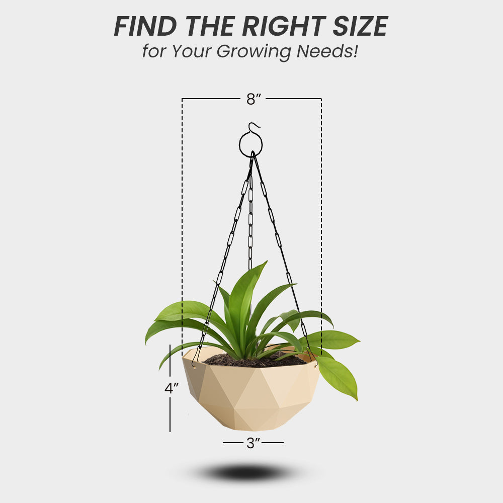 SHERA | DMD HANGING
