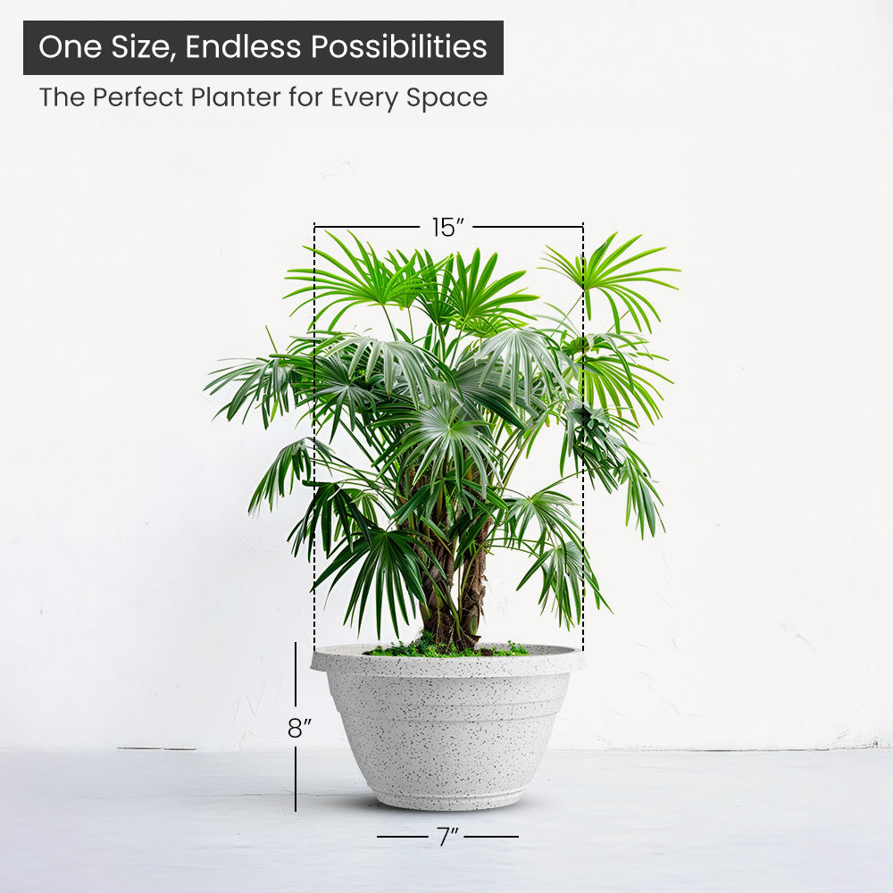 SHERA | BOTANICA BONSAI KTR PLANTER