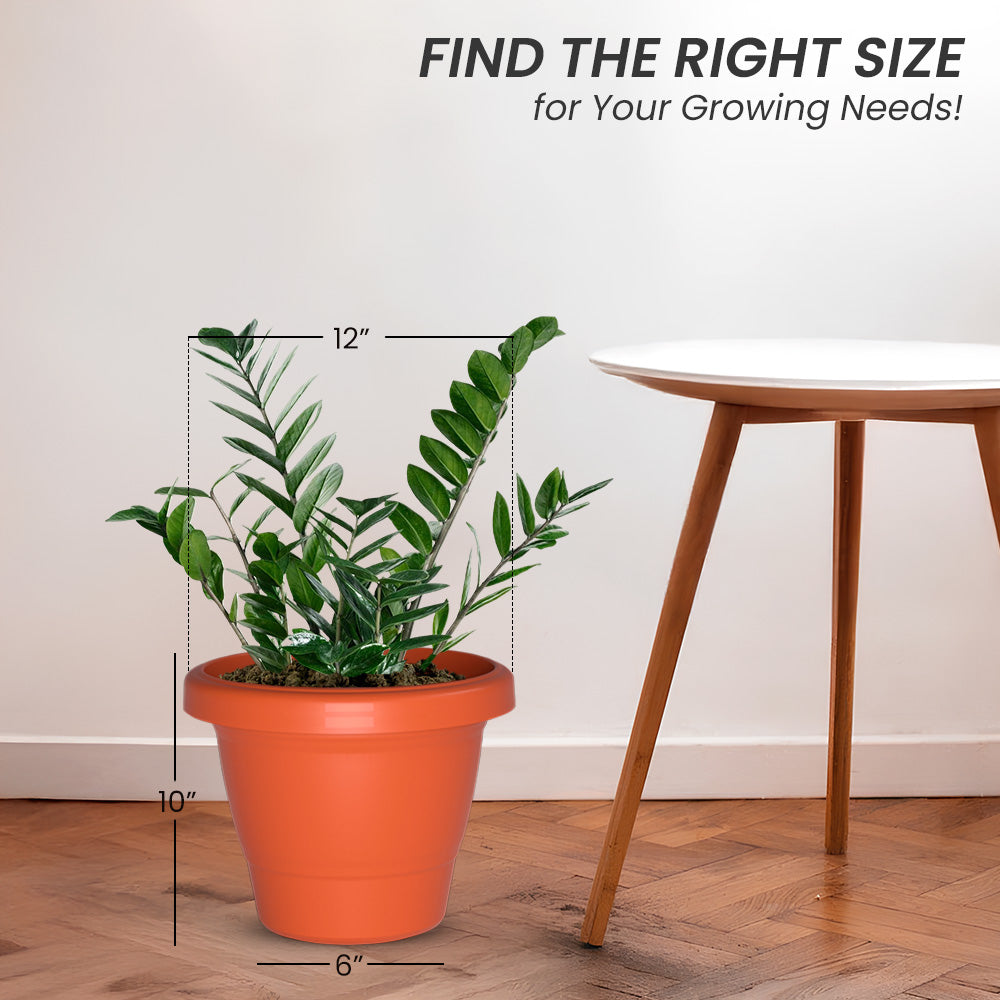 SHERA | SD PLANTER