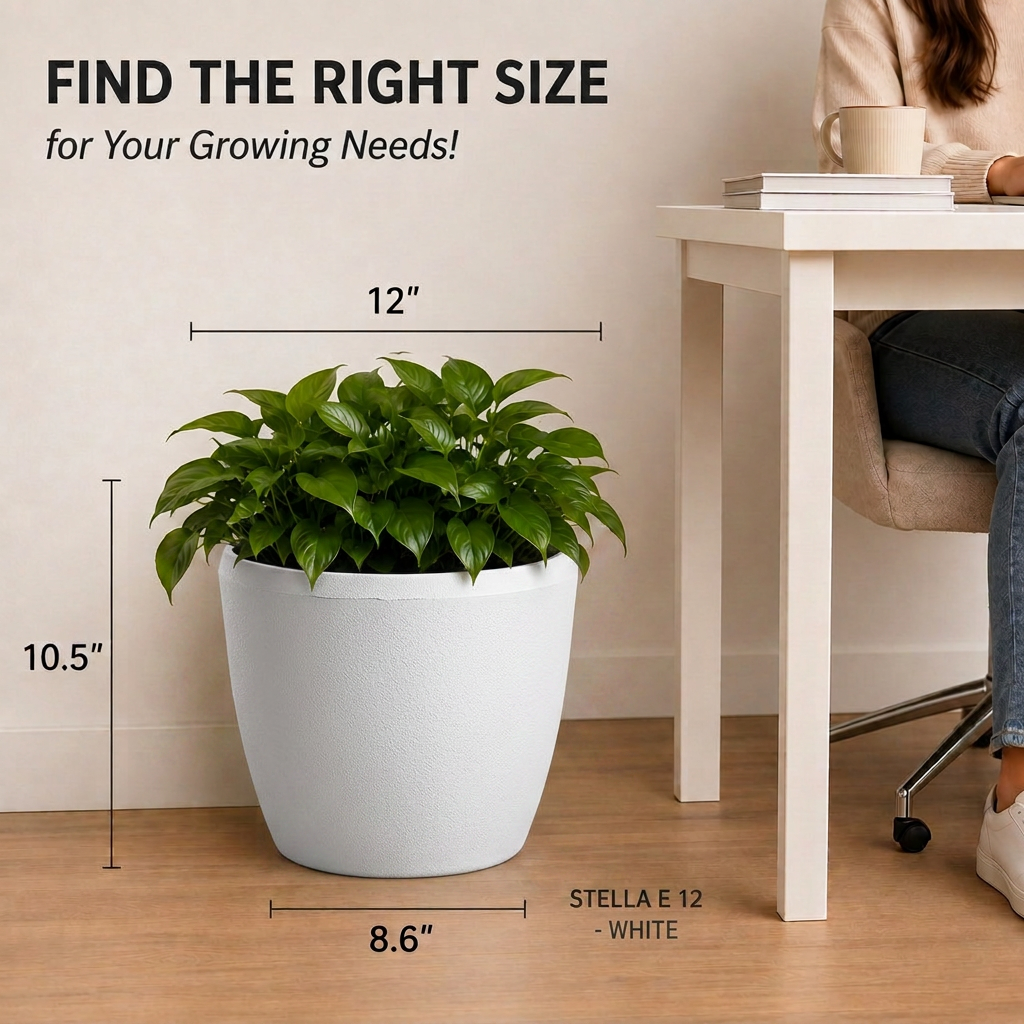 SHERA | STELLA E PLANTER