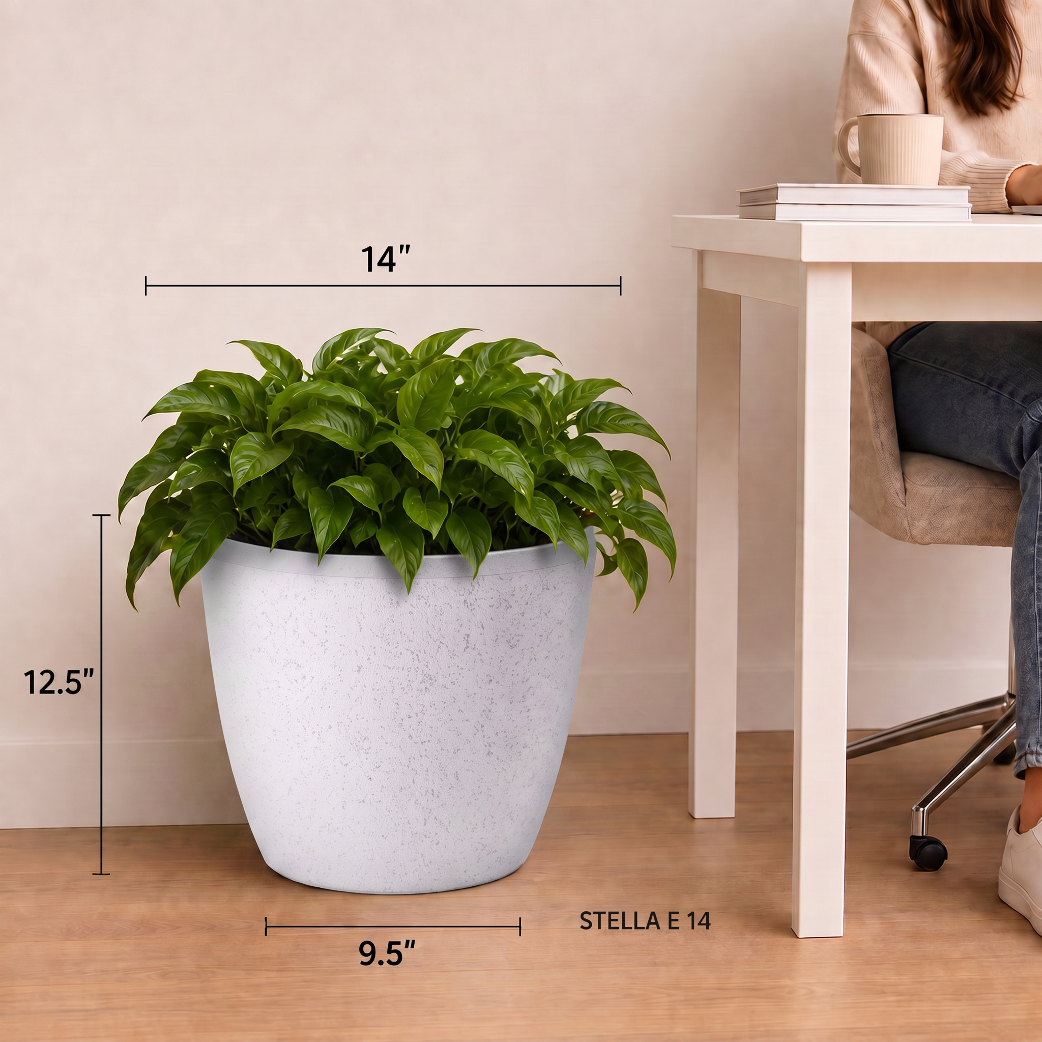 SHERA | STELLA E PLANTER